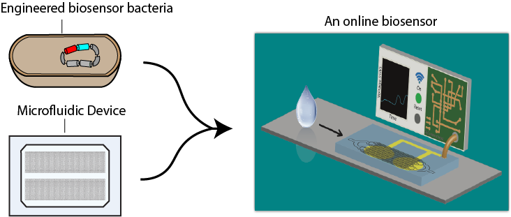 Environmental Biotechnologies